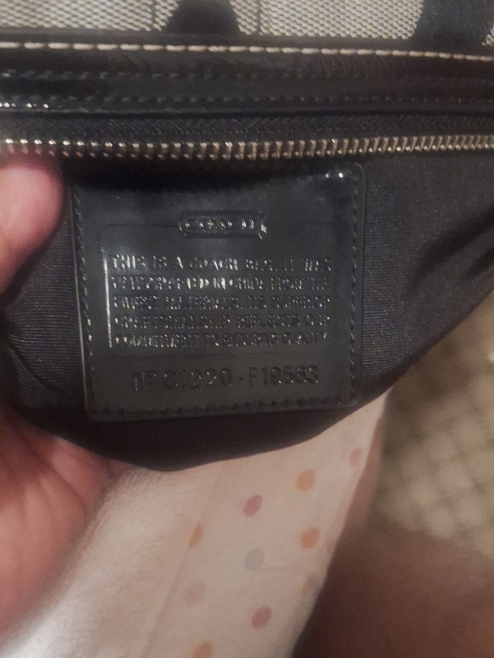 Cartera - Picture 4 of 9